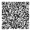 QR код "Блиц Круиз"