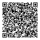 QR код "Звёздный"