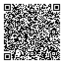 QR код "МИГ 29"