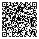 QR код "Mona Lisa"