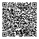 QR код "Euro Diamond"