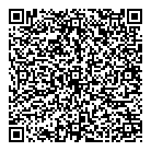 QR код "Team Drive, ТОО"