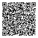 QR код "Бис"