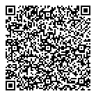 QR код "33 пингвина"
