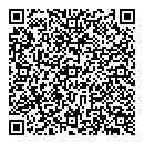 QR код "Викинг"