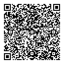 QR код "Твист"