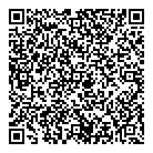 QR код "VIP KARAOKE GOGOL"
