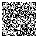 QR код "Венеция"