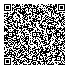 QR код "Блиц-аудит"