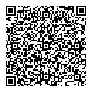 QR код "NTF Solutions"