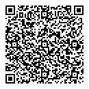 QR код "Звездочка"
