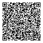 QR код "СТандарт ИНструмент"