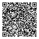 QR код "Фон Line"