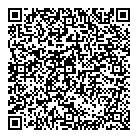 QR код "Созвездие"