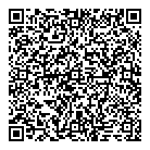 QR код "ДНС"