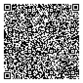 QR код "Большое платье"