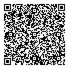 QR код "Звёздный дождь"