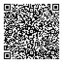 QR код "Блеск"