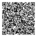QR код "Глобус"