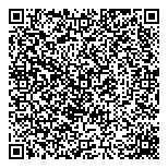 QR код "Мир шаров"