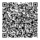 QR код "Индиго"