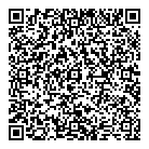 QR код "ДНС"