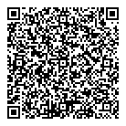 QR код "Dmi Брянск"
