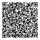QR код "Alemax.ru"