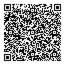 QR код "Мир шаров"