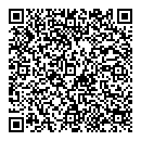 QR код "Camelot"