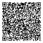 QR код "Dmi Брянск"