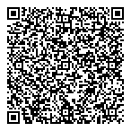 QR код "Dmi Брянск"
