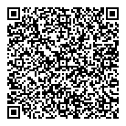 QR код "Dmi Брянск"