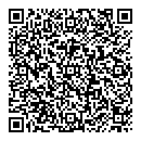 QR код "Алиса"