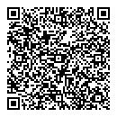 QR код "Паутинка"