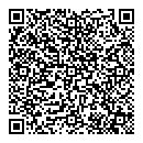QR код "Алиса"