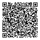 QR код "Матрица"