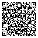 QR код "Домино"