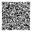 QR код "Ван Гог"