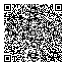 QR код "СССР"