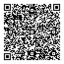 QR код "Паутинка"