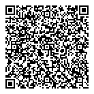 QR код "DRESS STORE"