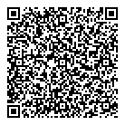 QR код "Звёздочка"