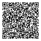 QR код "Профессионал"