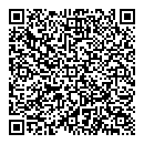 QR код "Дамаск"