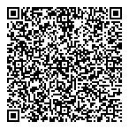QR код "Кризис жанра"