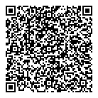 QR код "Аэлита"