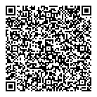 QR код "Динамо"