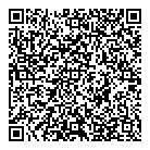 QR код "Сетевик"