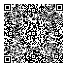 QR код "Сетевик"